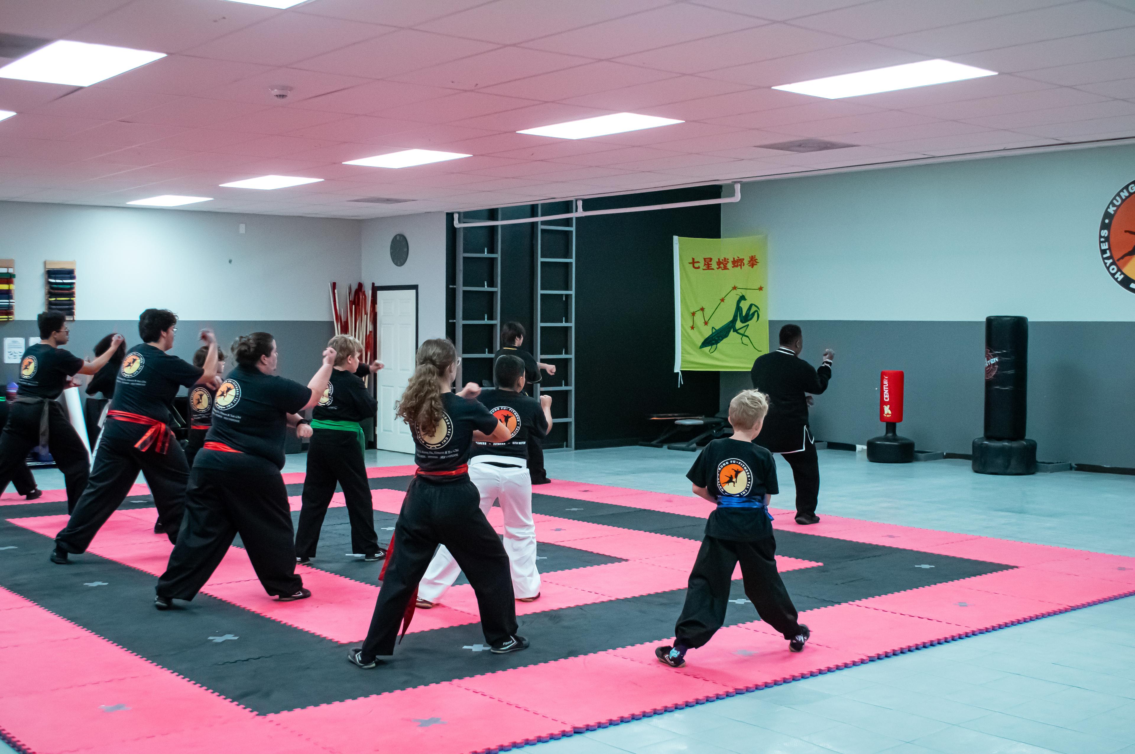 Explore the benefits of Kung Fu martial arts - Action Photo 2